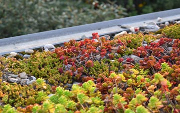 the cost of Risplith green roof installation