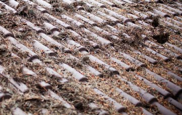 Risplith roof cleaning companies