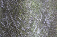 Risplith fibreglass roof work